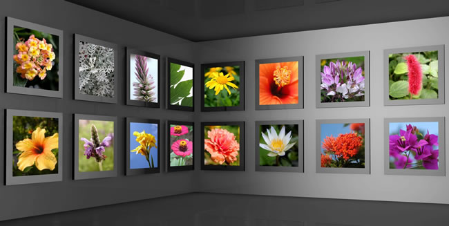 Fine Art Shipping Fine Artwork Shipping Egg Harbor Township